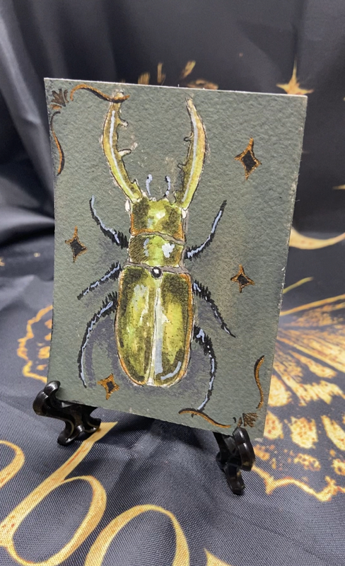 Whimsy pinned Beetle aceo art card