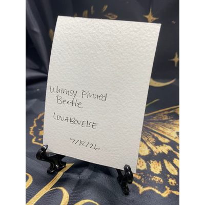 Whimsy pinned Beetle aceo art card thumbnail 2