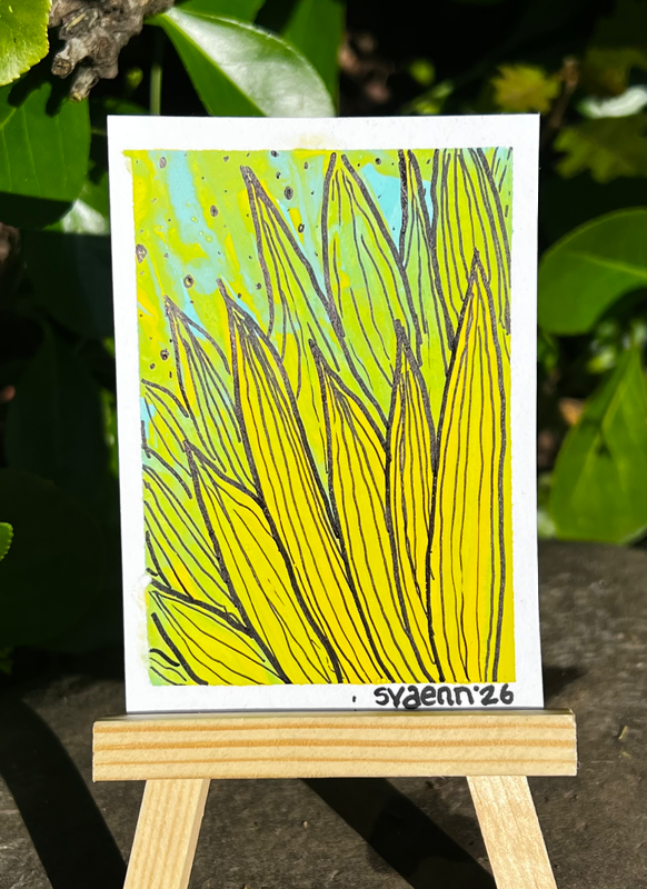 Sunflower aceo art card