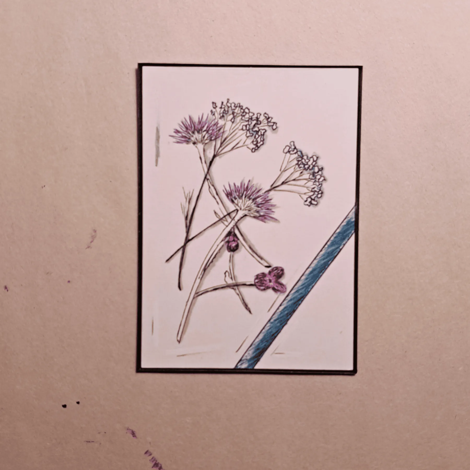Dried Flowers aceo art card