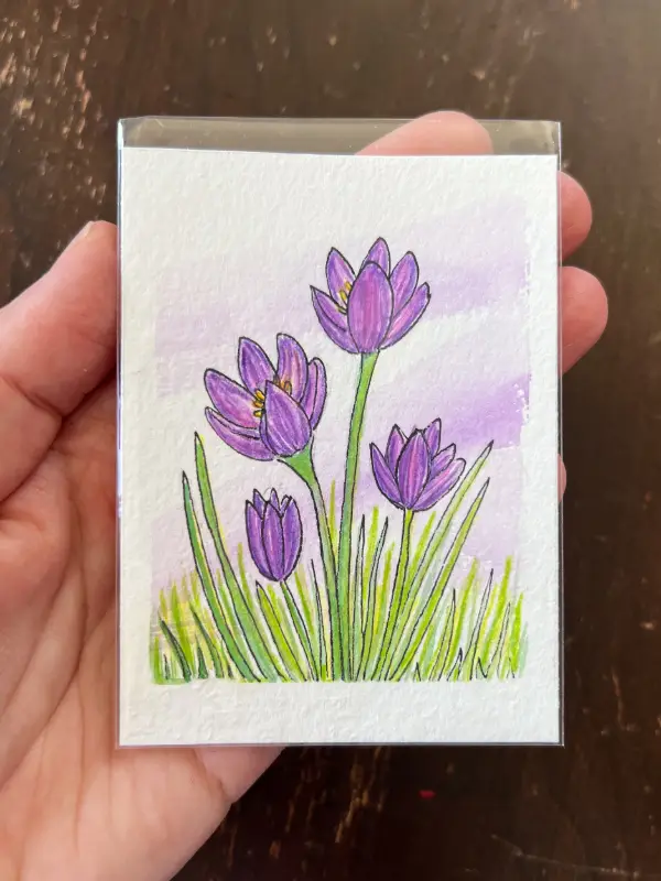 Crocus aceo art card