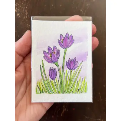 Crocus aceo art card thumbnail 1
