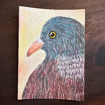 Pigeon Portrait aceo art card thumbnail 1