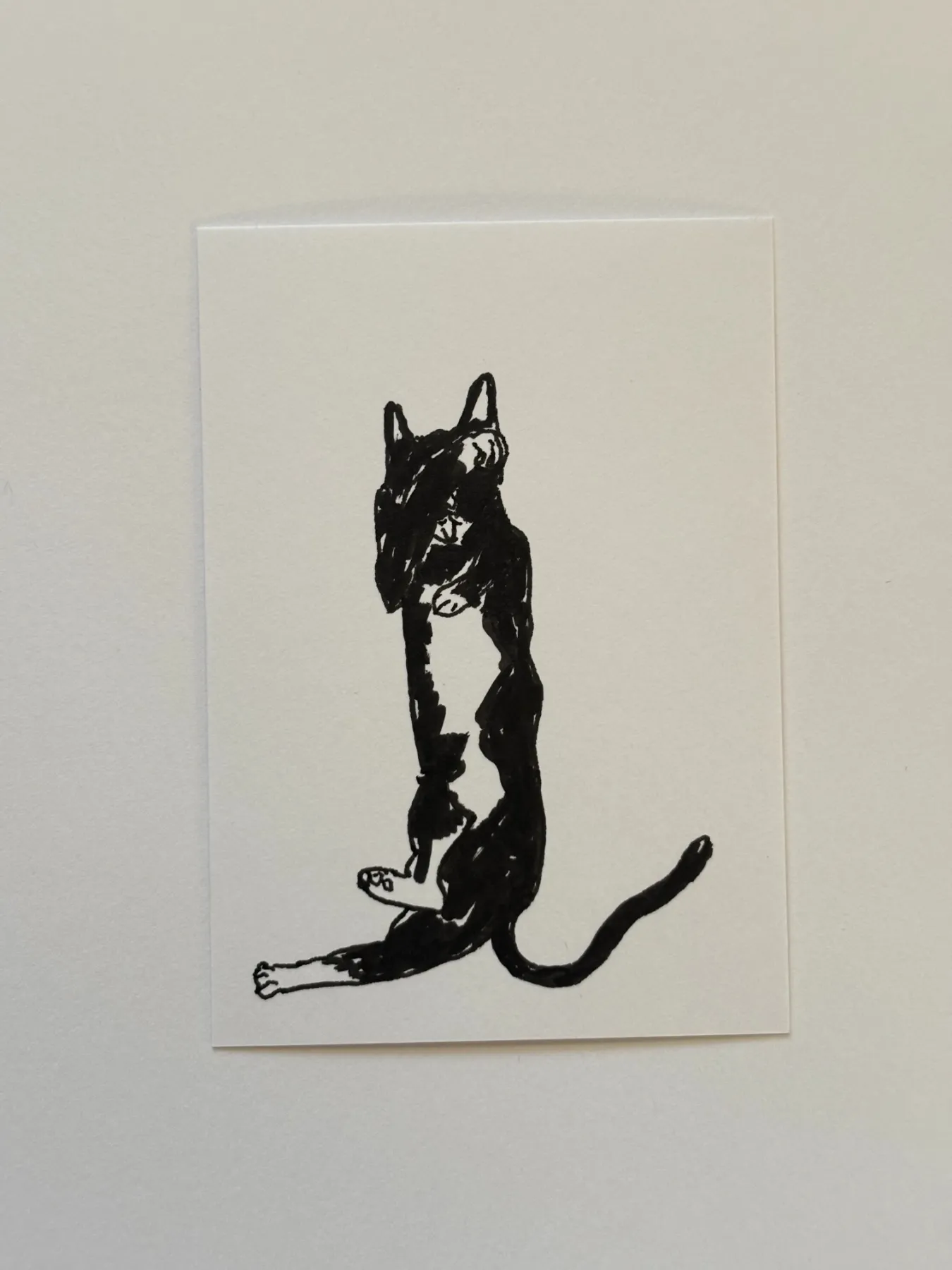No Pawparazzi Cat aceo art card