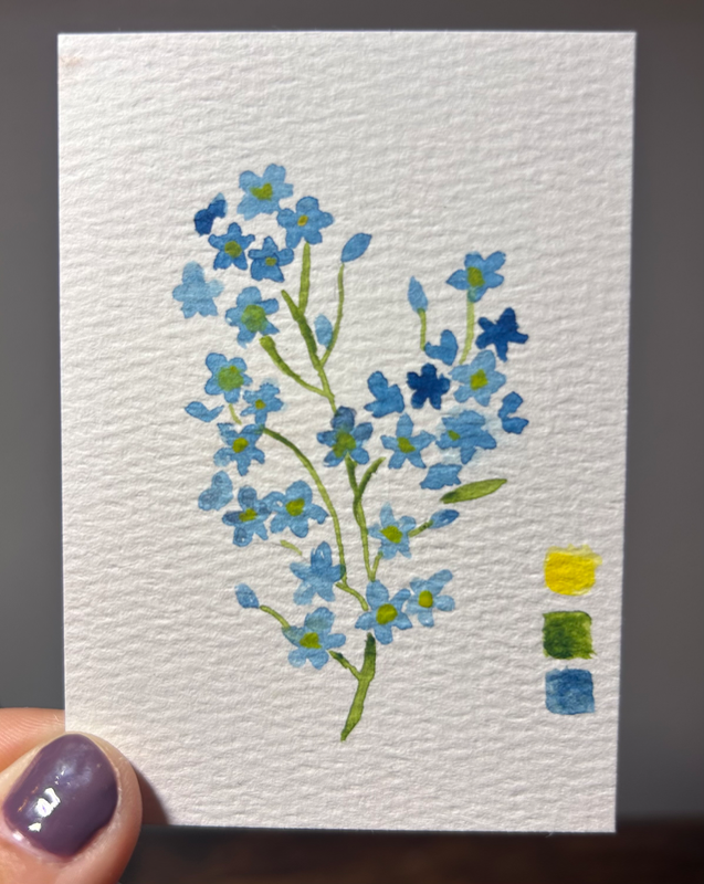 forget-me-not (the floral collection 3/3) aceo art card