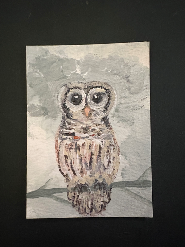 Owl aceo art card