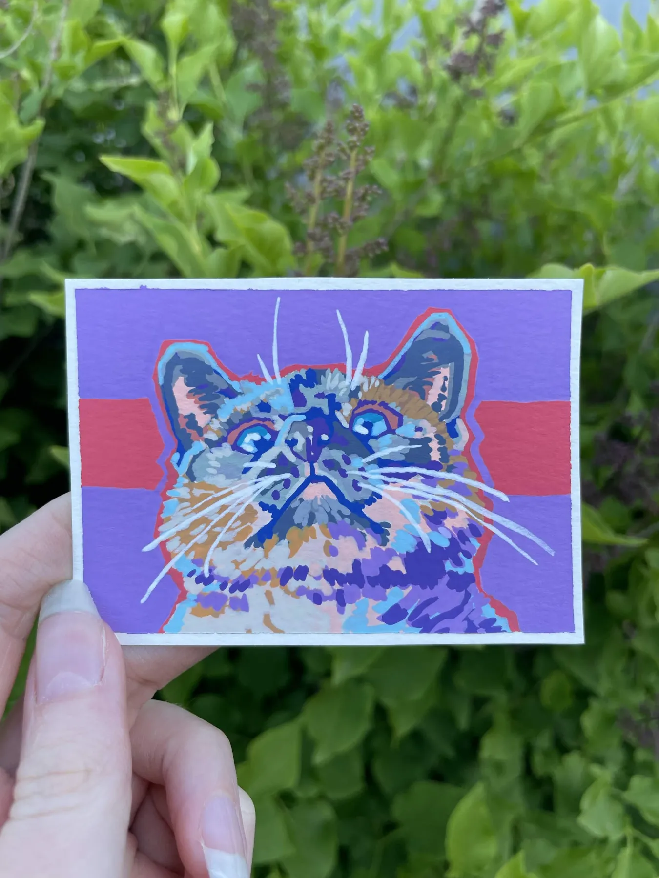 Silly Kitty Cat aceo art card