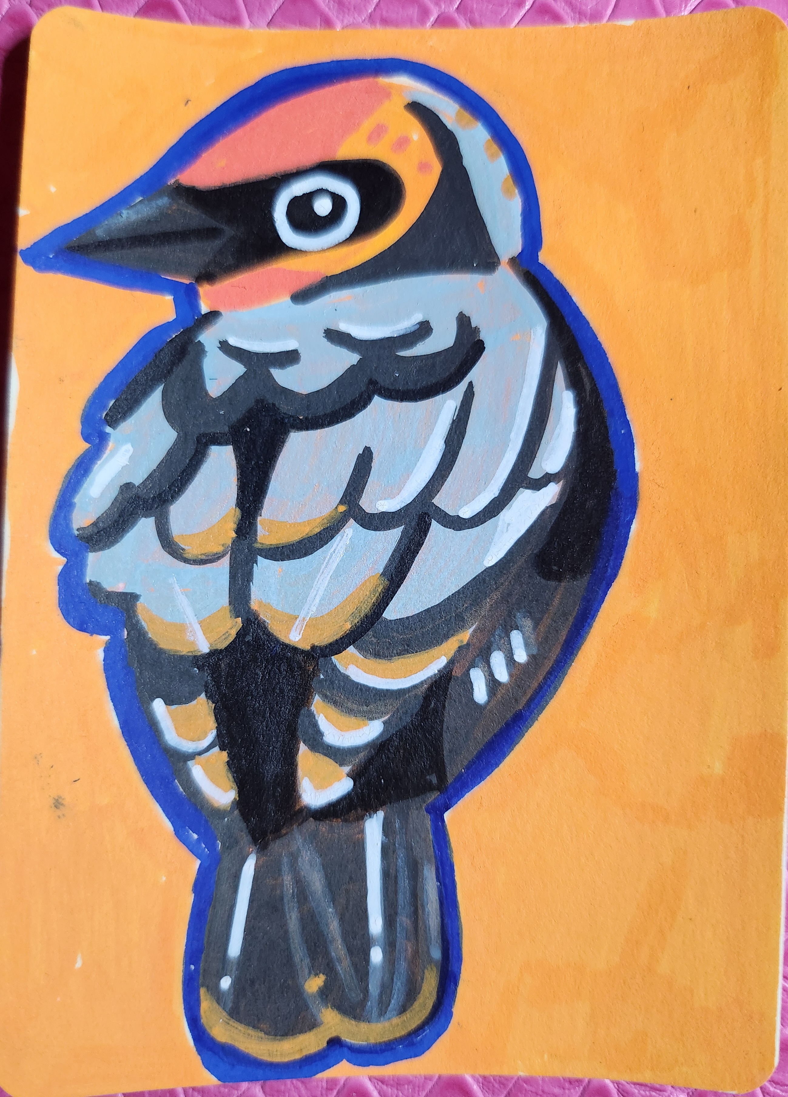 red backed shrike aceo art card