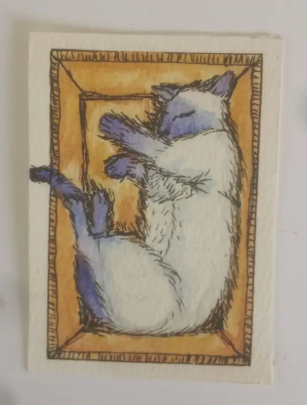 Cat in a Box 3/5 aceo art card