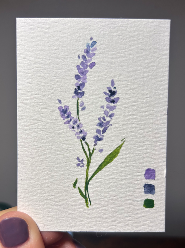 lavender (the floral collection 2/3) aceo art card