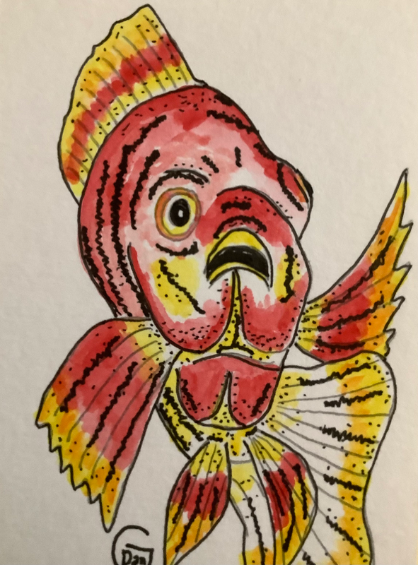 Peacock Cichlid aceo art card