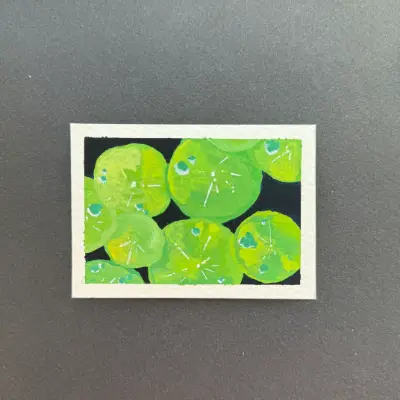 lily pads aceo art card thumbnail 2