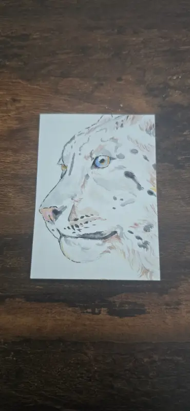 Snow Leopard aceo art card