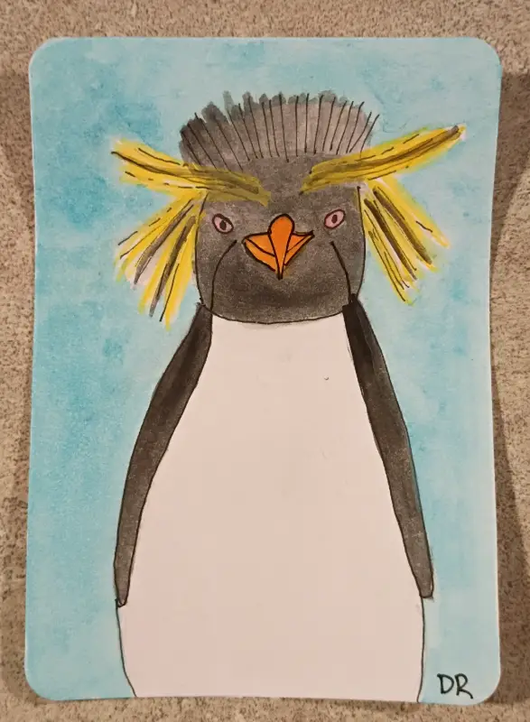 Macaroni Penguin aceo art card