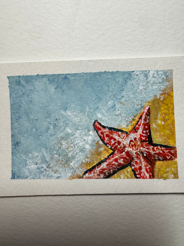 Starfish beach marine life acrylic painting Ashley Leary coastal marine life aceo art card