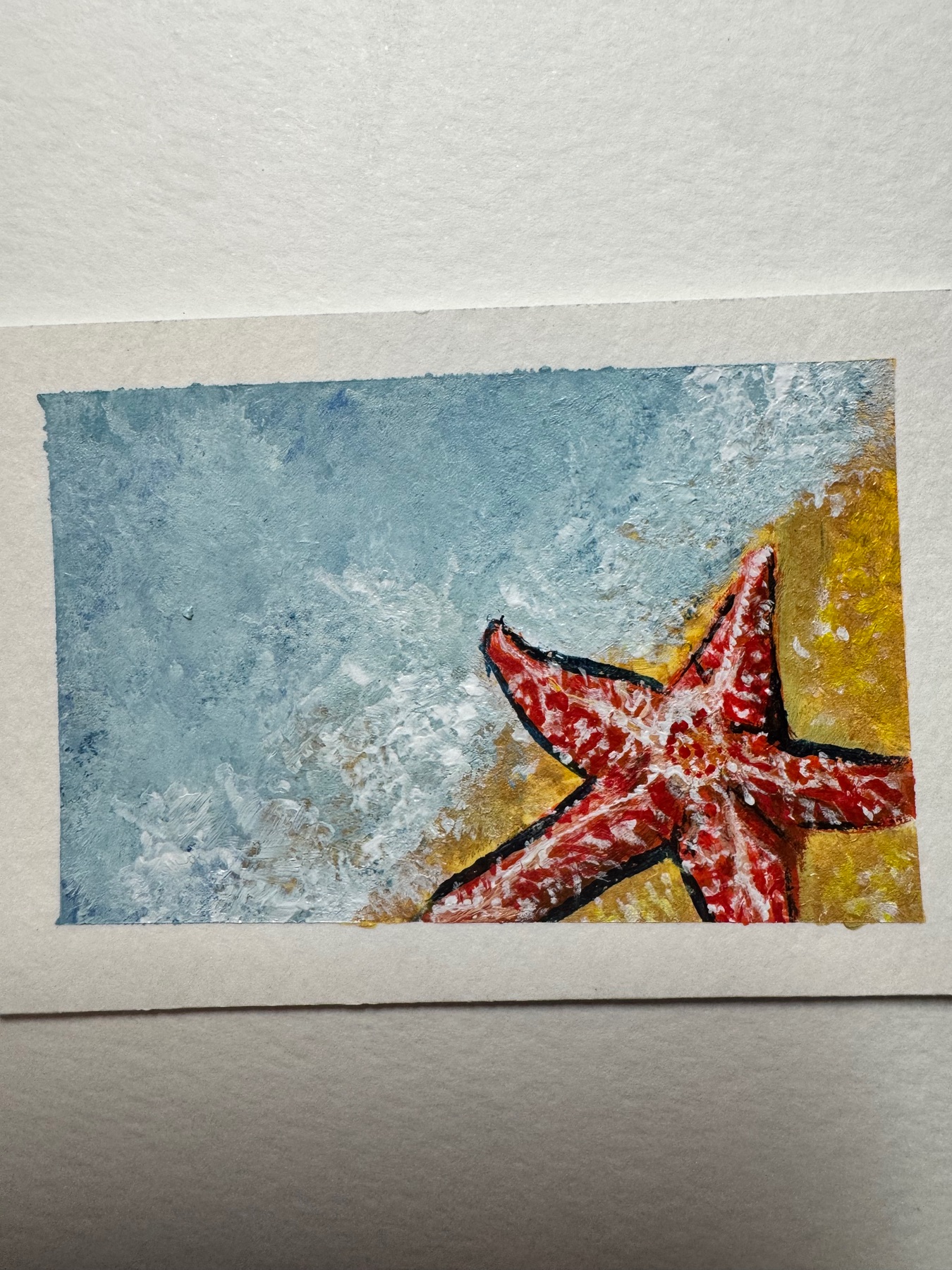 Starfish beach marine life acrylic painting Ashley Leary coastal marine life aceo art card
