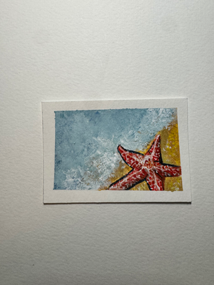 Starfish beach marine life acrylic painting Ashley Leary coastal marine life aceo art card thumbnail 2
