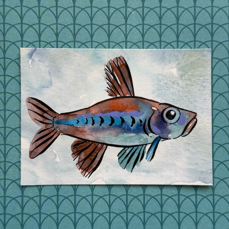 Orange and Teal Fish aceo art card