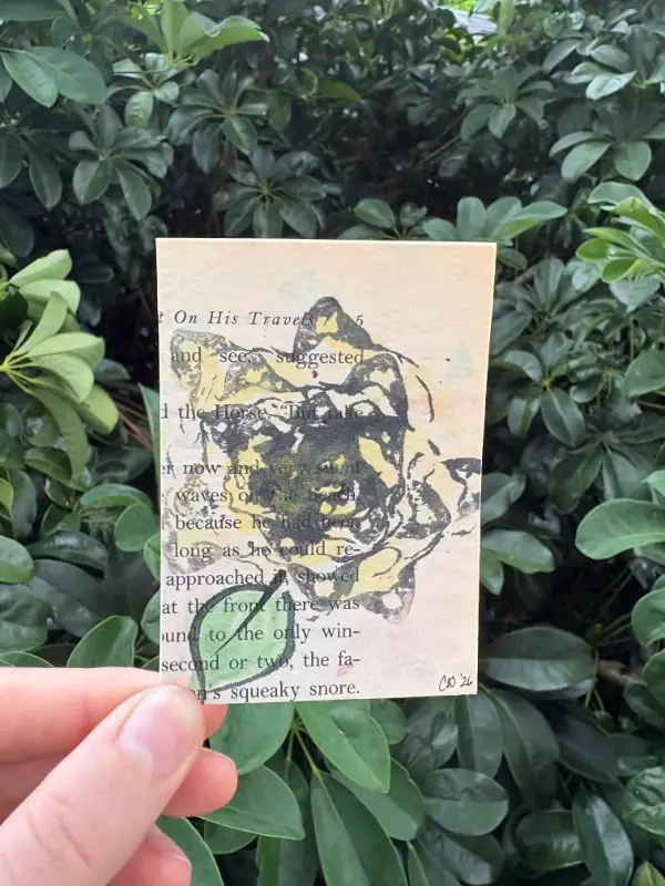 Petals on Pages 2/2 aceo art card