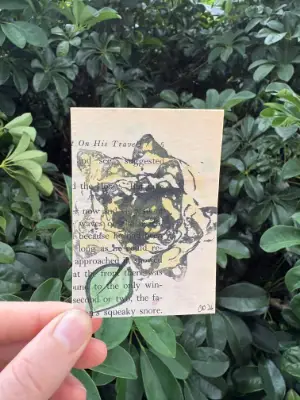 Petals on Pages 2/2 aceo art card thumbnail 1
