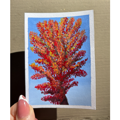 Original ACEO Autumn Tree Painting Fall Foliage Miniature Art Red Orange Yellow aceo art card thumbnail 1