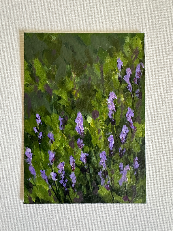 Lavender Field aceo art card