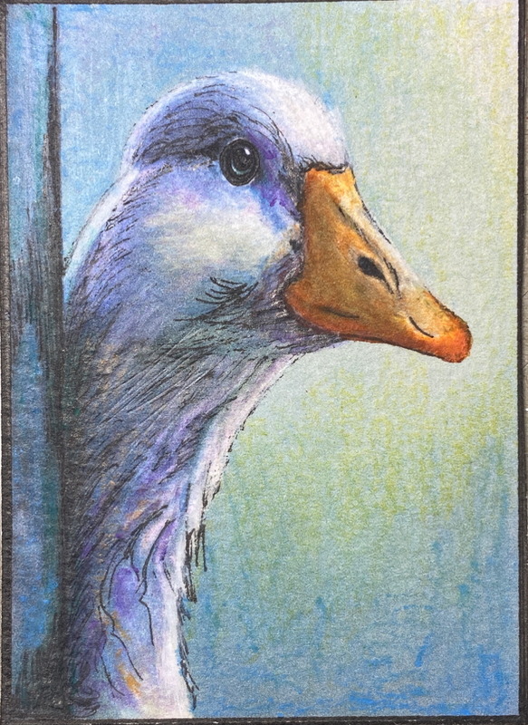Periwinkle Plays Hide-and-Seek aceo art card