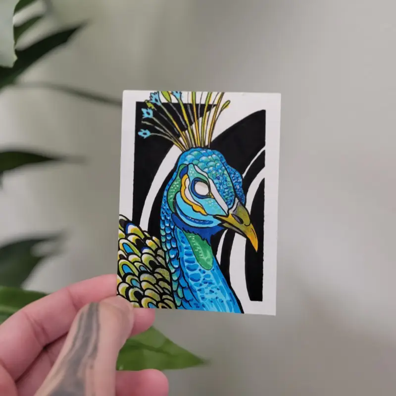 The Peacock aceo art card