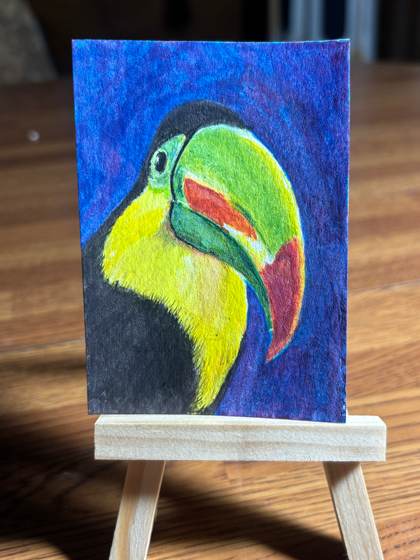 Toucan aceo art card