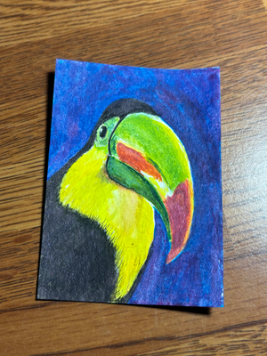 Toucan aceo art card thumbnail 2