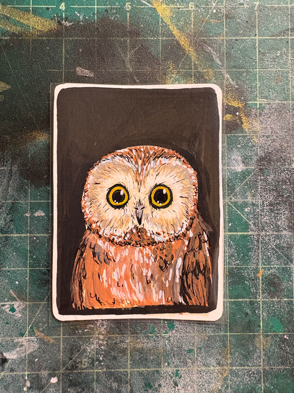Saw-Whet Owl aceo art card