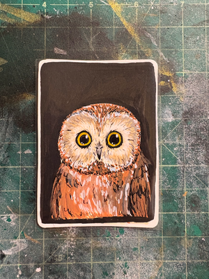 Saw-Whet Owl aceo art card thumbnail 1