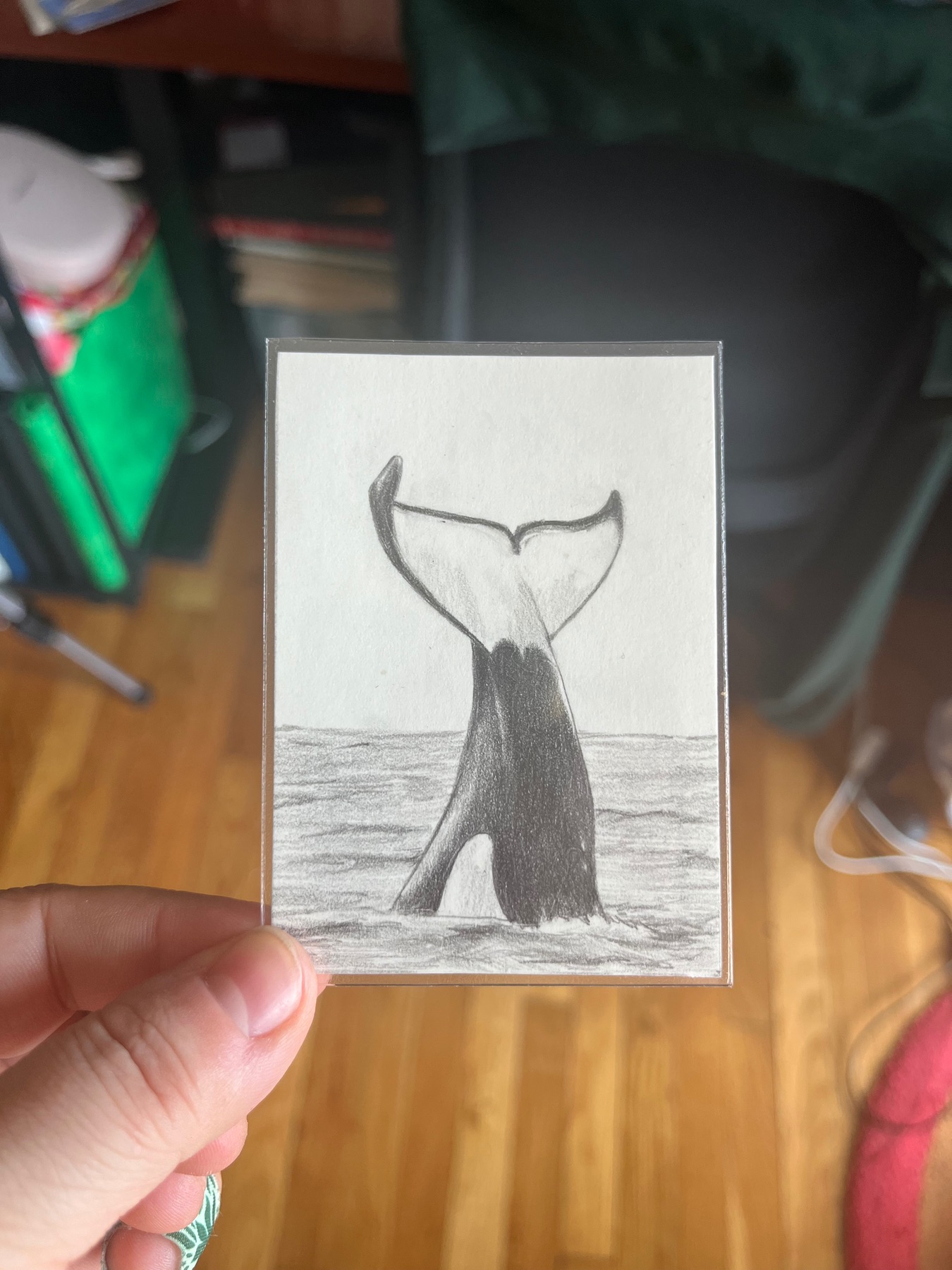 Flukes Sketch aceo art card