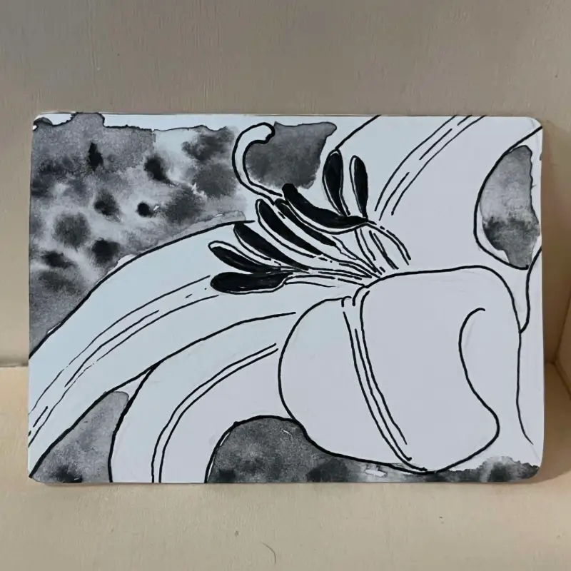 botanical lily study aceo art card