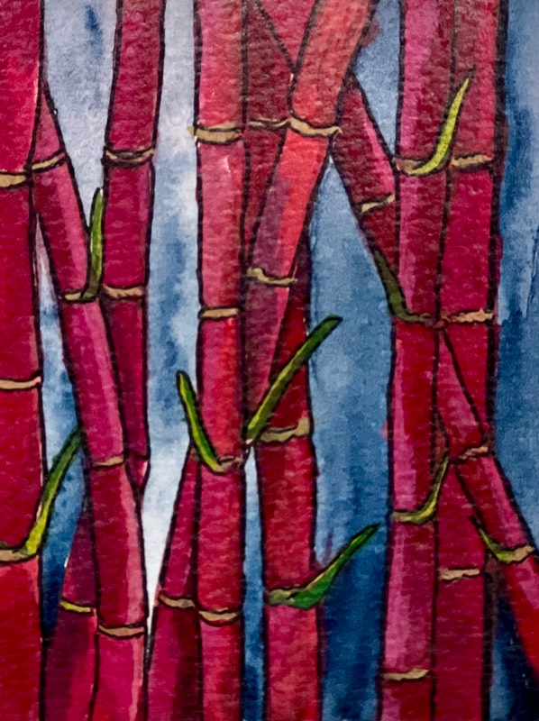 Sugarcane aceo art card