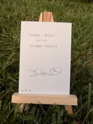Sedge-Rick Little Plant Guy aceo art card thumbnail 2