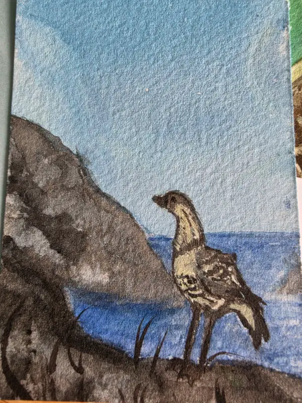Seaside Nene aceo art card