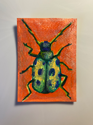 Shimmery Beetle aceo art card thumbnail 1