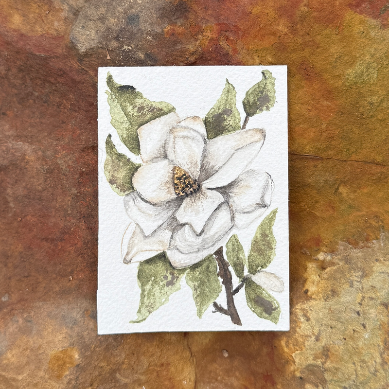 Magnolia #1 aceo art card