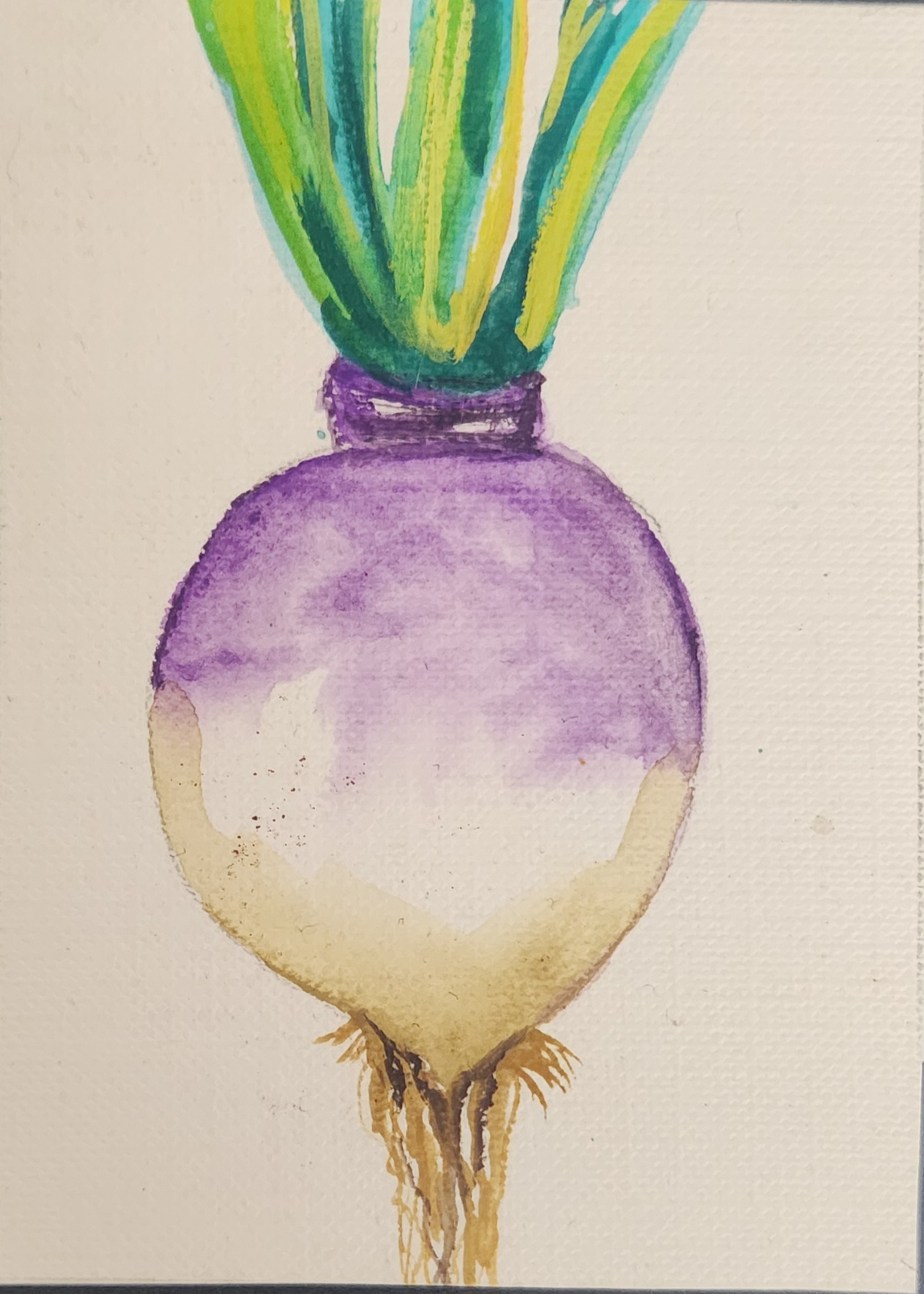 Turnip aceo art card thumbnail 1