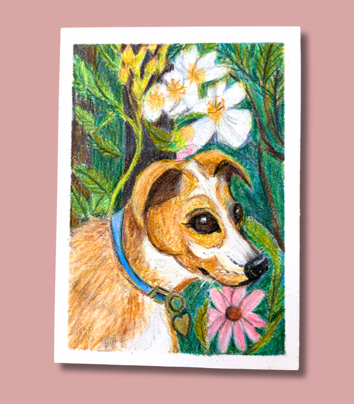 Yellow Dog and Wildflowers ACEO - Colored Pencil on Illustration Board aceo art card
