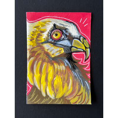 Bearded Vulture aceo art card thumbnail 1