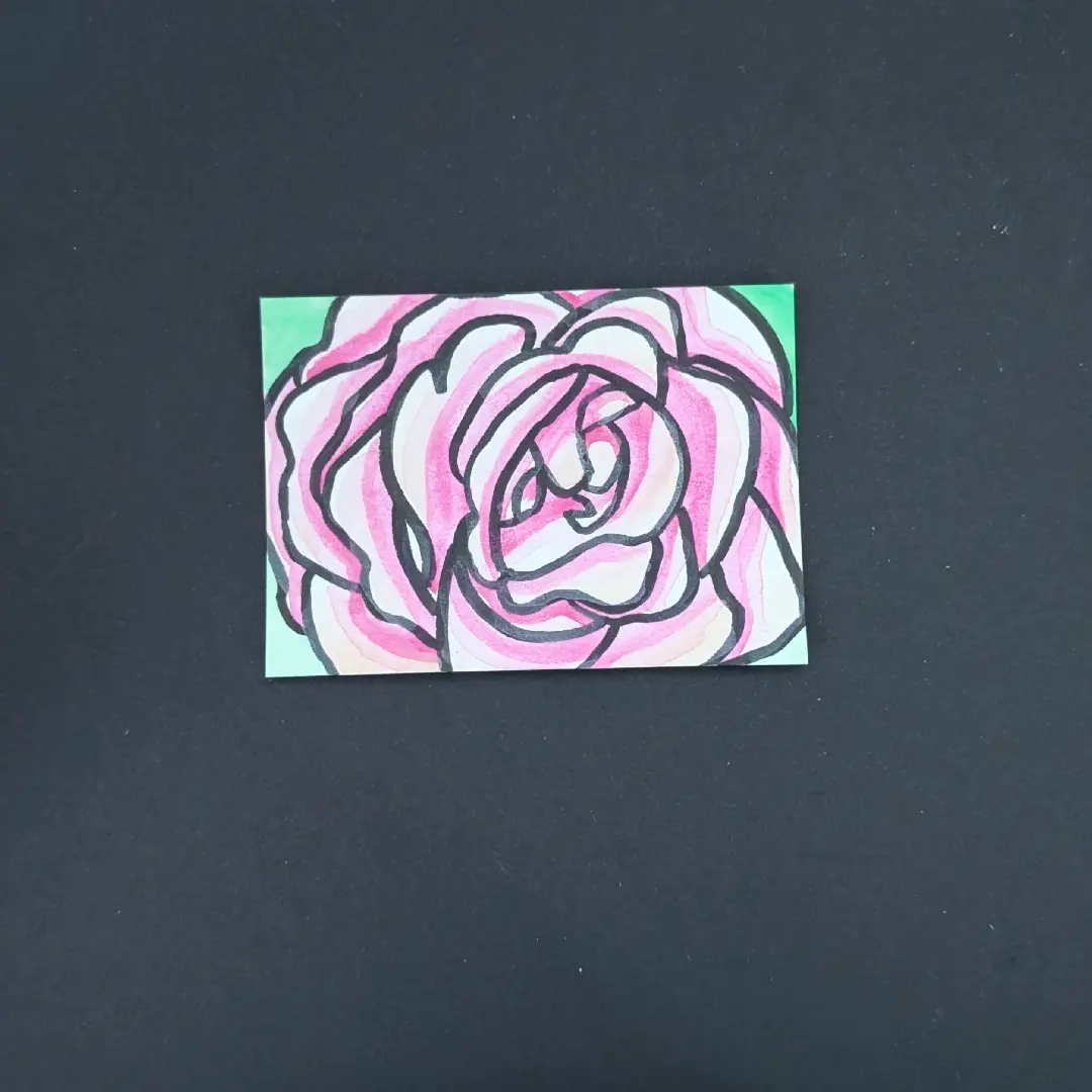 Pink Rose #1 aceo art card