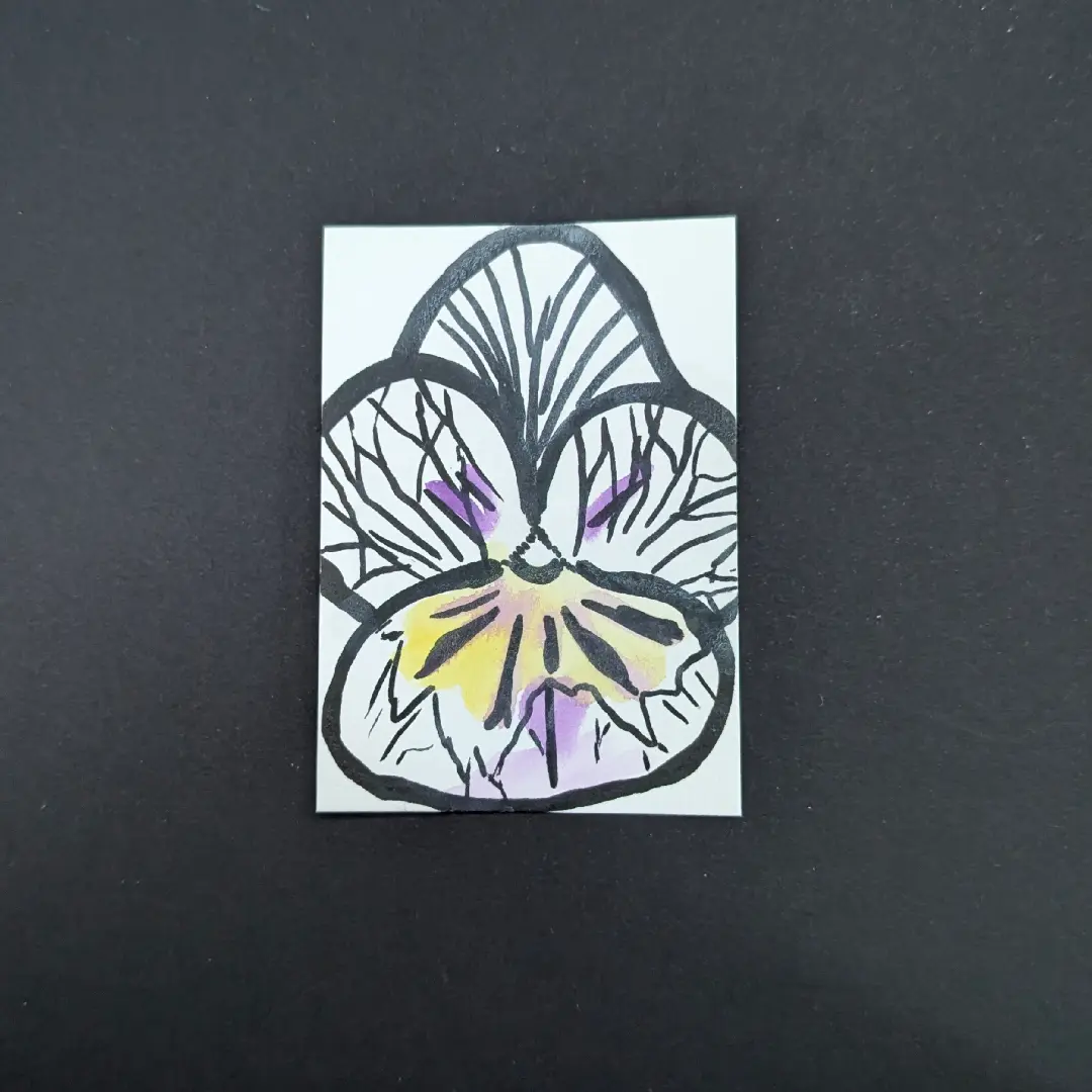 White Pansy aceo art card