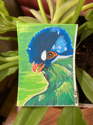 Hartlaub’s Turaco Bird ACEO Artwork by Nina Bolen Original Art OOAK Wildlife Art aceo art card thumbnail 2