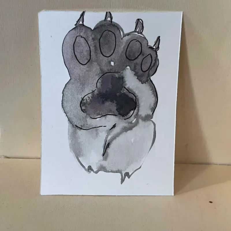 watercolor cat paw aceo art card