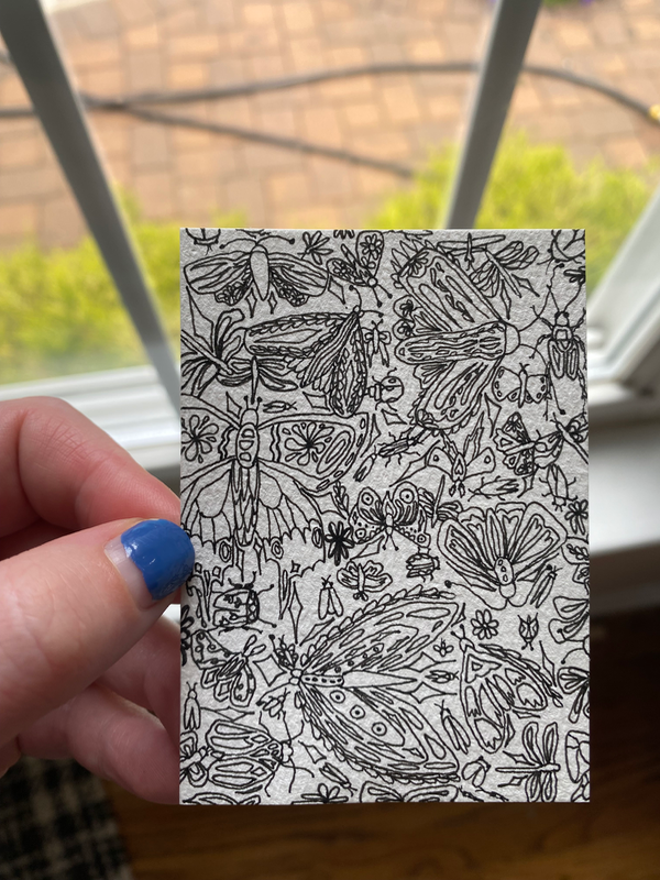 Moth, butterfly, beetle aceo art card