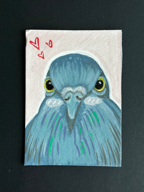 Staring Pigeon aceo art card