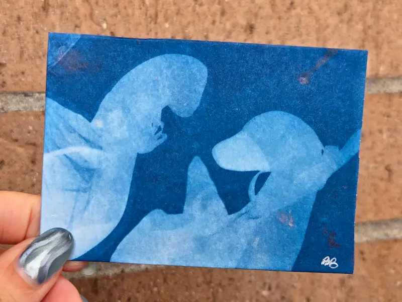 Birds of a Feather (Original Cyanotype) aceo art card
