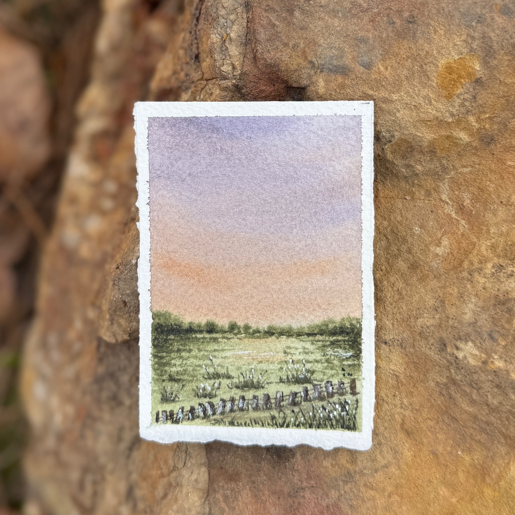 Fenceline at Dawn aceo art card